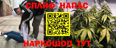 гидра Дубна
