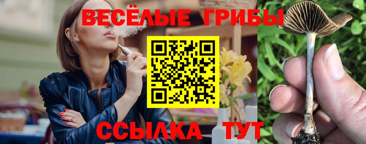 Галлюциногенные грибы Cubensis  Вход с VPN  Псилоцибиновые грибы Cubensis  Иваново 